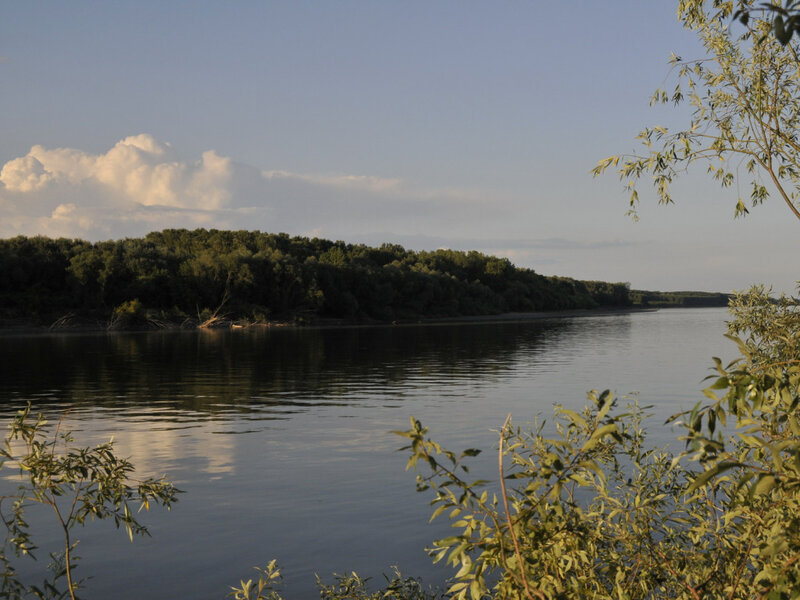 River with Forested Bank — Blue, Serene, Afternoon