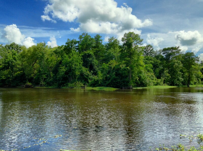 River with Forested Bank — Blue, Serene