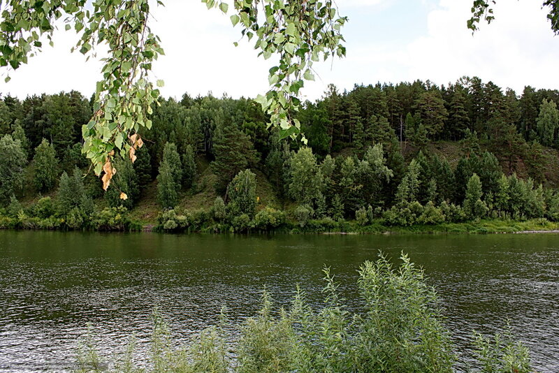 River with Forested Bank — Green