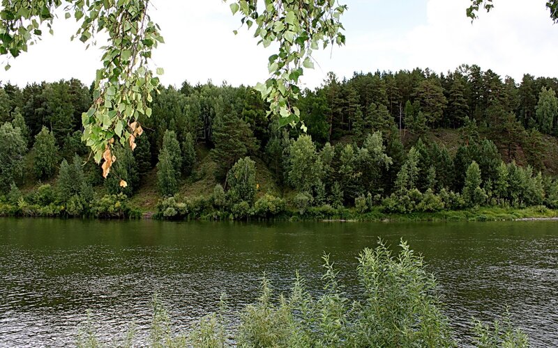 River with forested banks