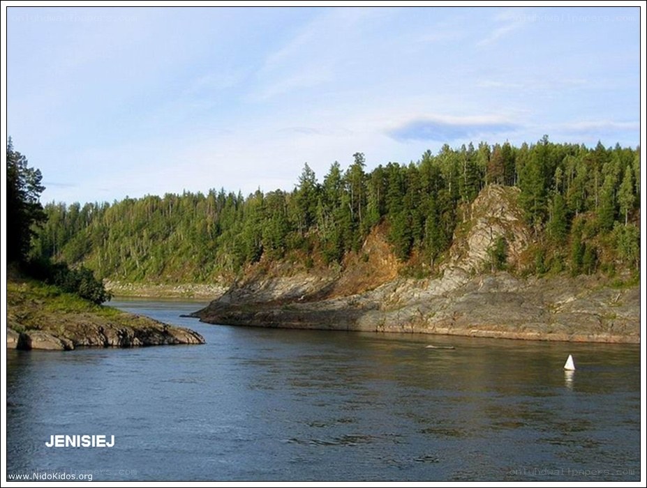river with forested banks
