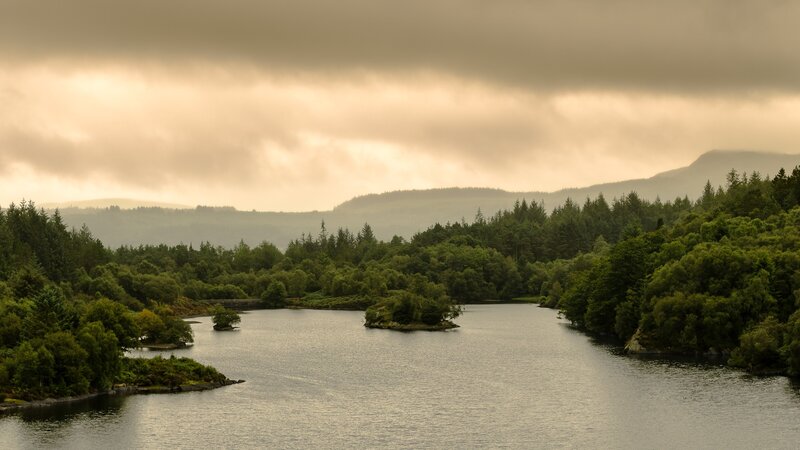 River with Forested Banks — Green, Overcast