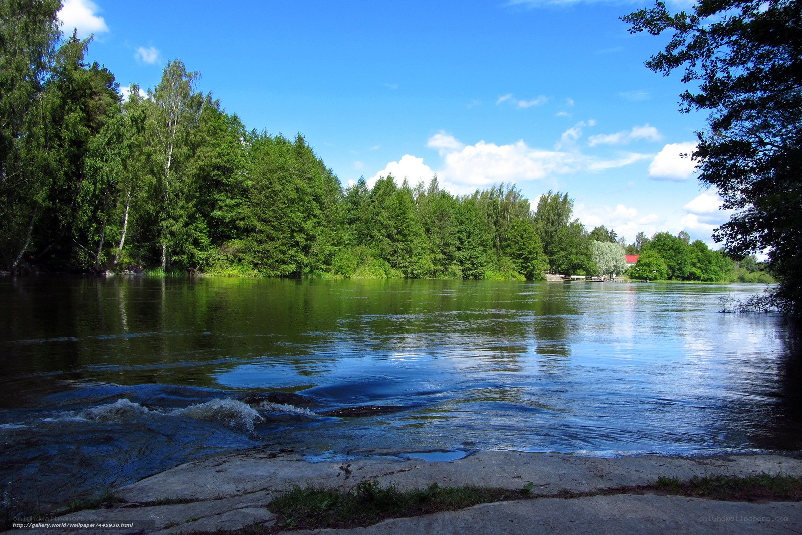 River with forested banks
