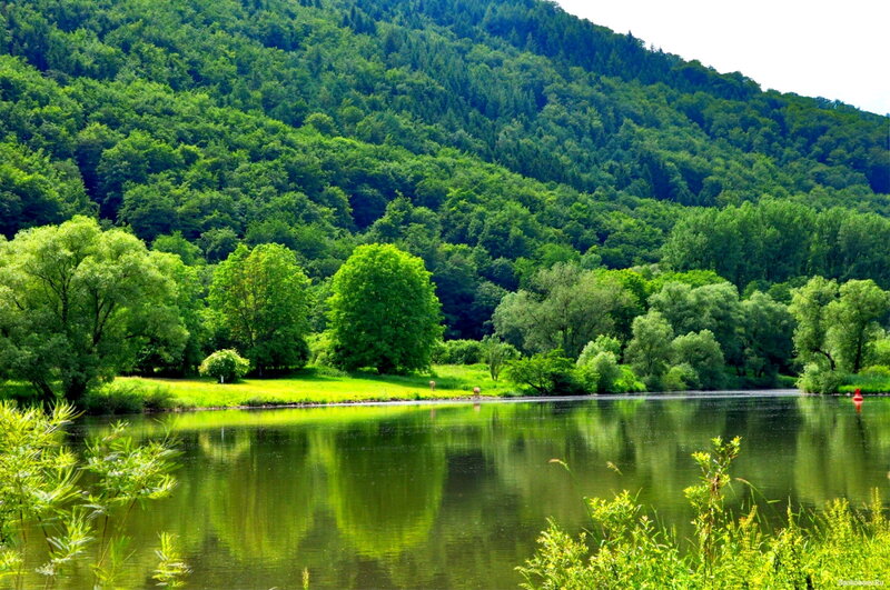 River with Forested Hills — Green