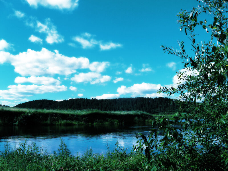 River with Forested Hills