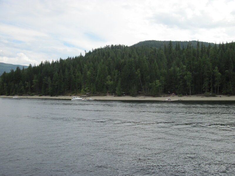 River with Forested Shore