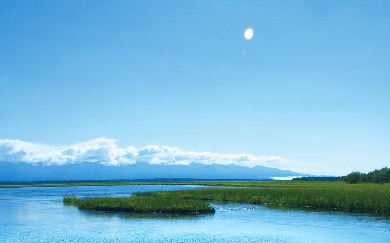 River with Grassy Islands — Blue