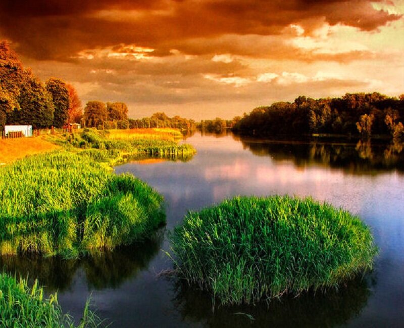 River with Grassy Islands — Green