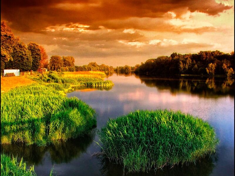 River with Grassy Islands