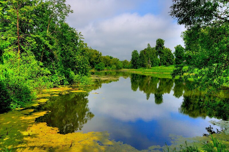 River with Green Algae