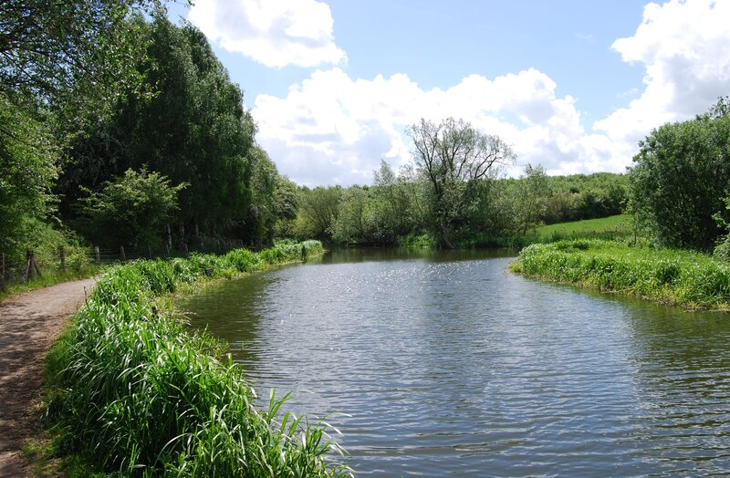 River with Green Banks — Serene