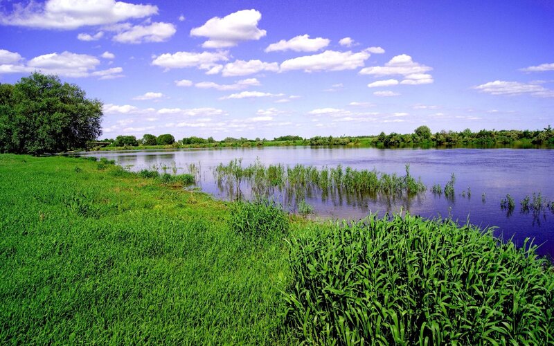 River with Green Grass