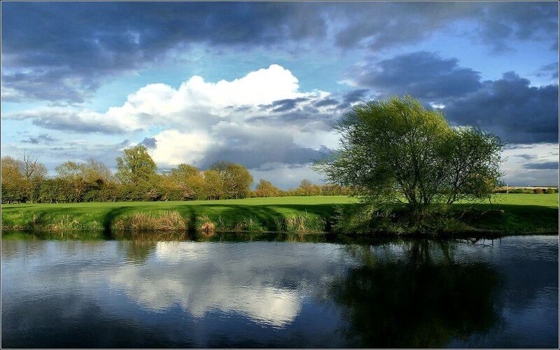 River with Green Trees