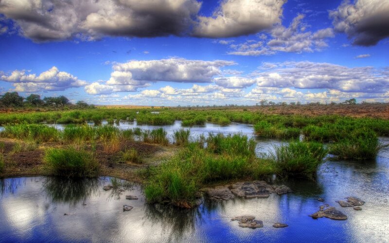 River with Green Vegetation