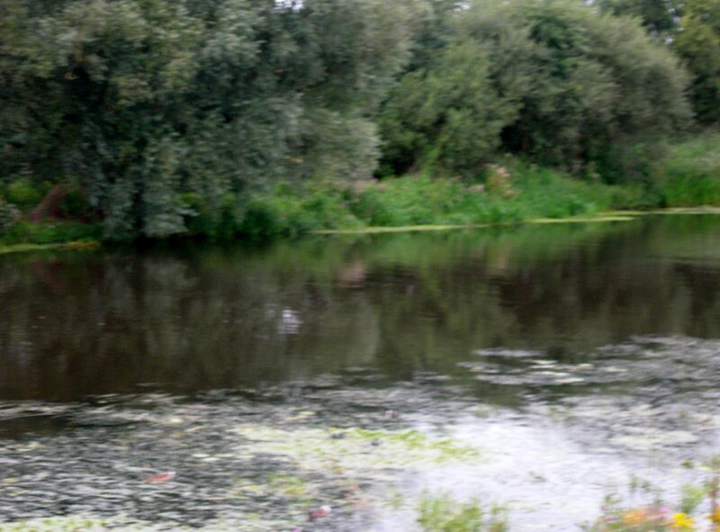 River with Greenery