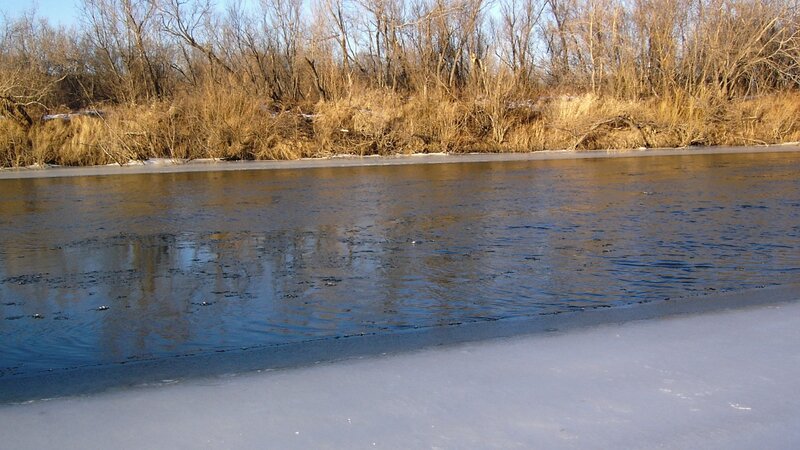 river with ice and bare trees