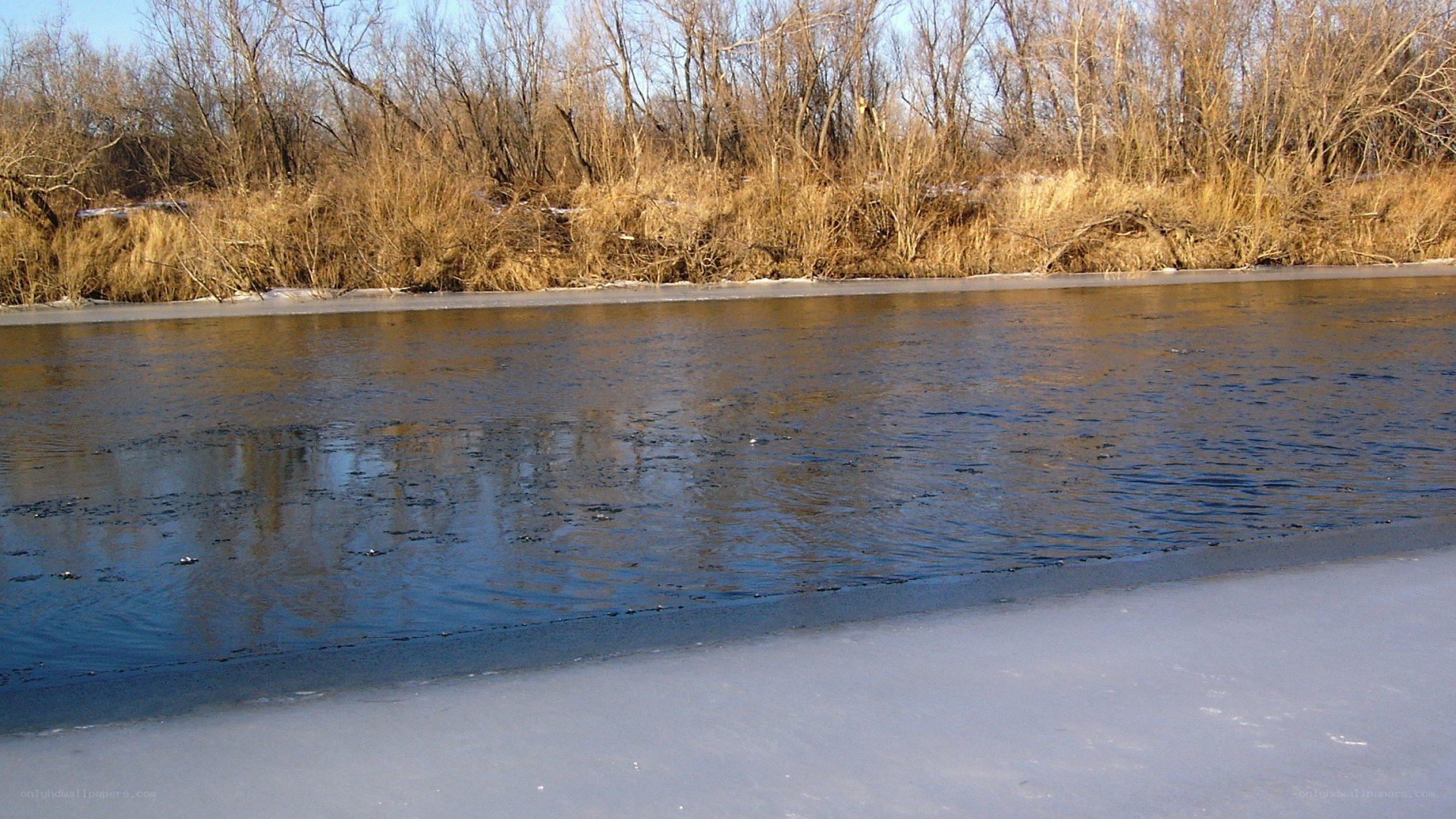 river with ice and bare trees