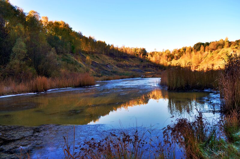 River with Ice and Reeds