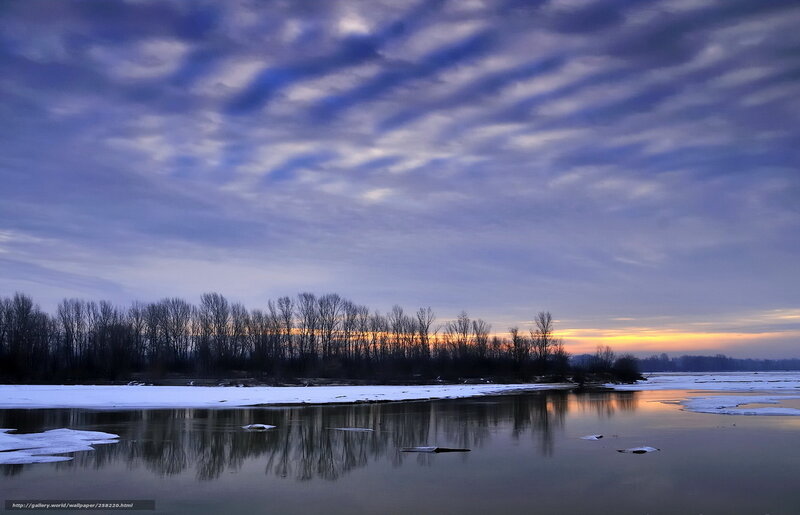 River with Ice and Trees — Blue