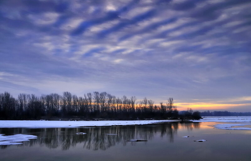 River with Ice and Trees