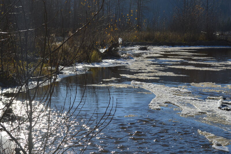 River with Ice Floes — Blue, Calm