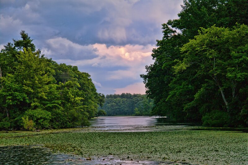 River with Lily Pads — Green, Dramatic
