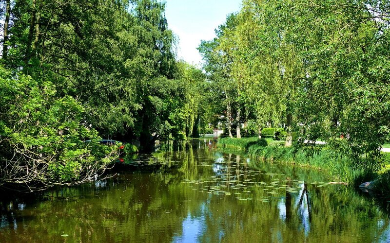 River with Lily Pads — Green, Serene, Afternoon, Photograph, Trees, Lily Pads