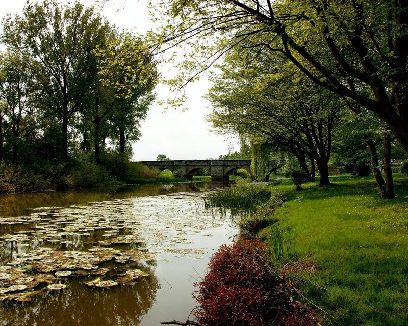 River with Lily Pads — Green, Serene, Afternoon