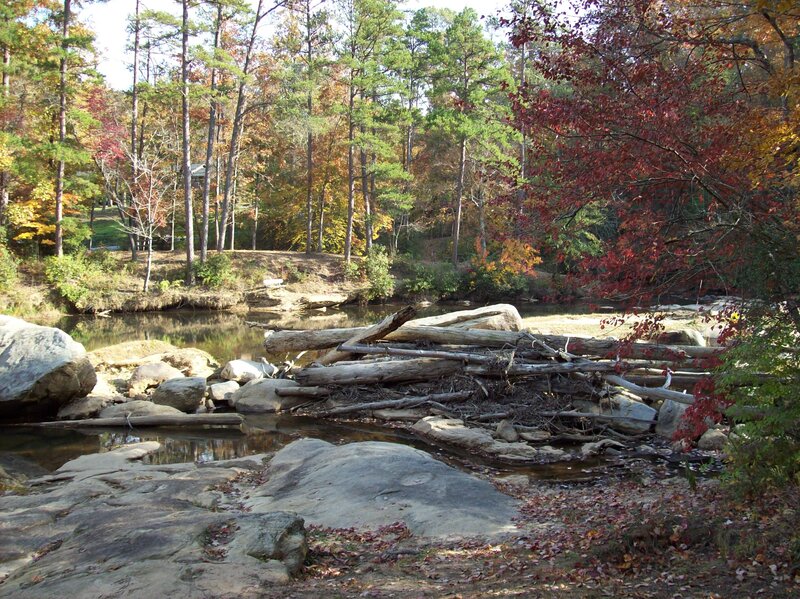 River with Logs and Rocks