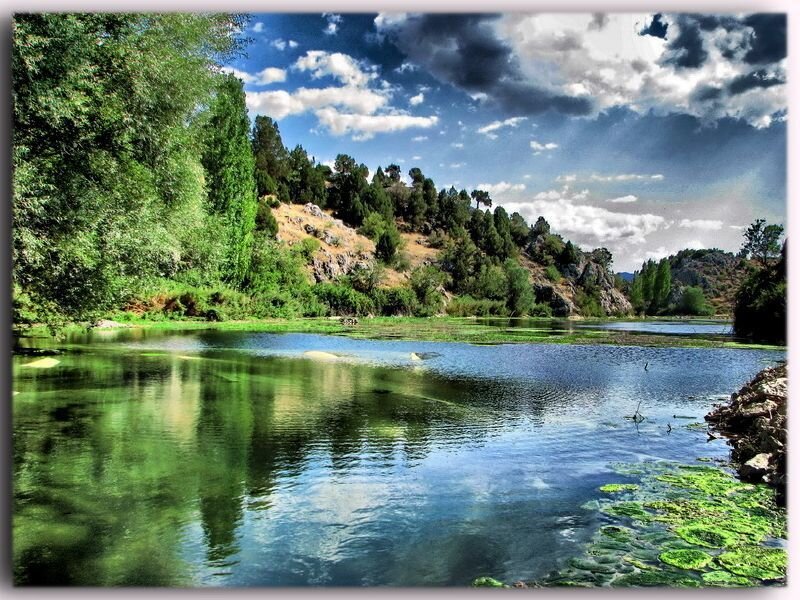 River with lush green banks