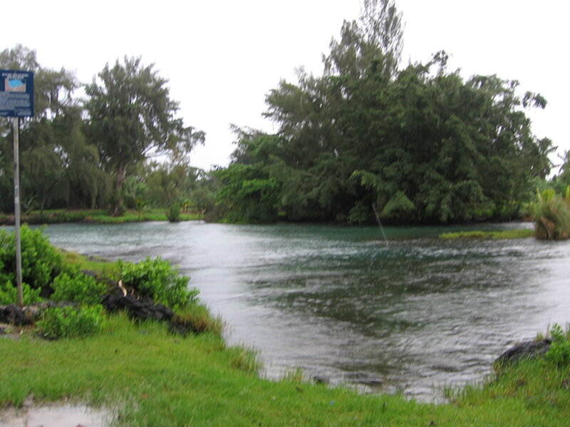 River with lush greenery