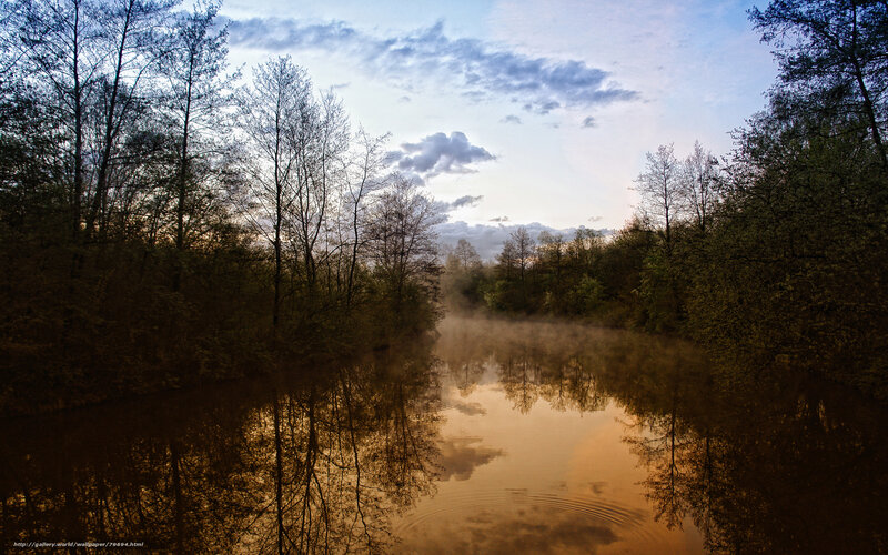 River with Mist and Trees — Brown