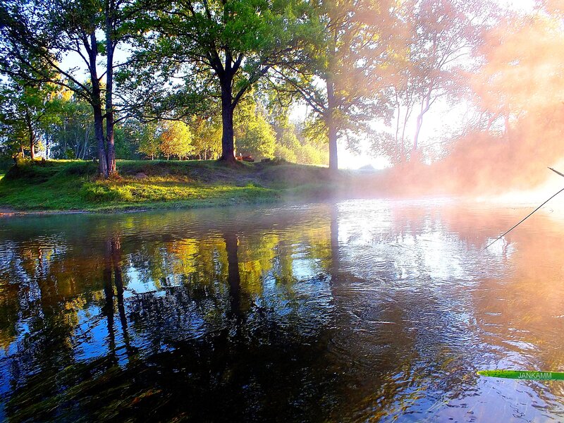 River with Mist and Trees — Green, Serene