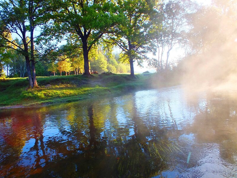 River with Mist and Trees — Green