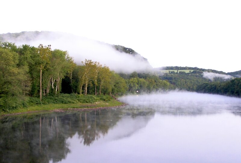 River with Mist and Trees