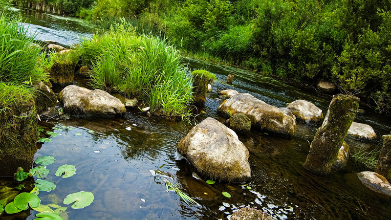 River with Mossy Rocks — Green