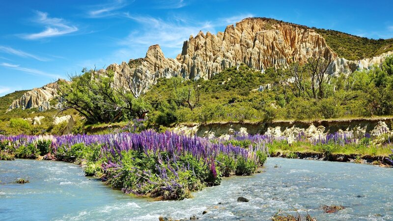 River with purple flowers and cliffs
