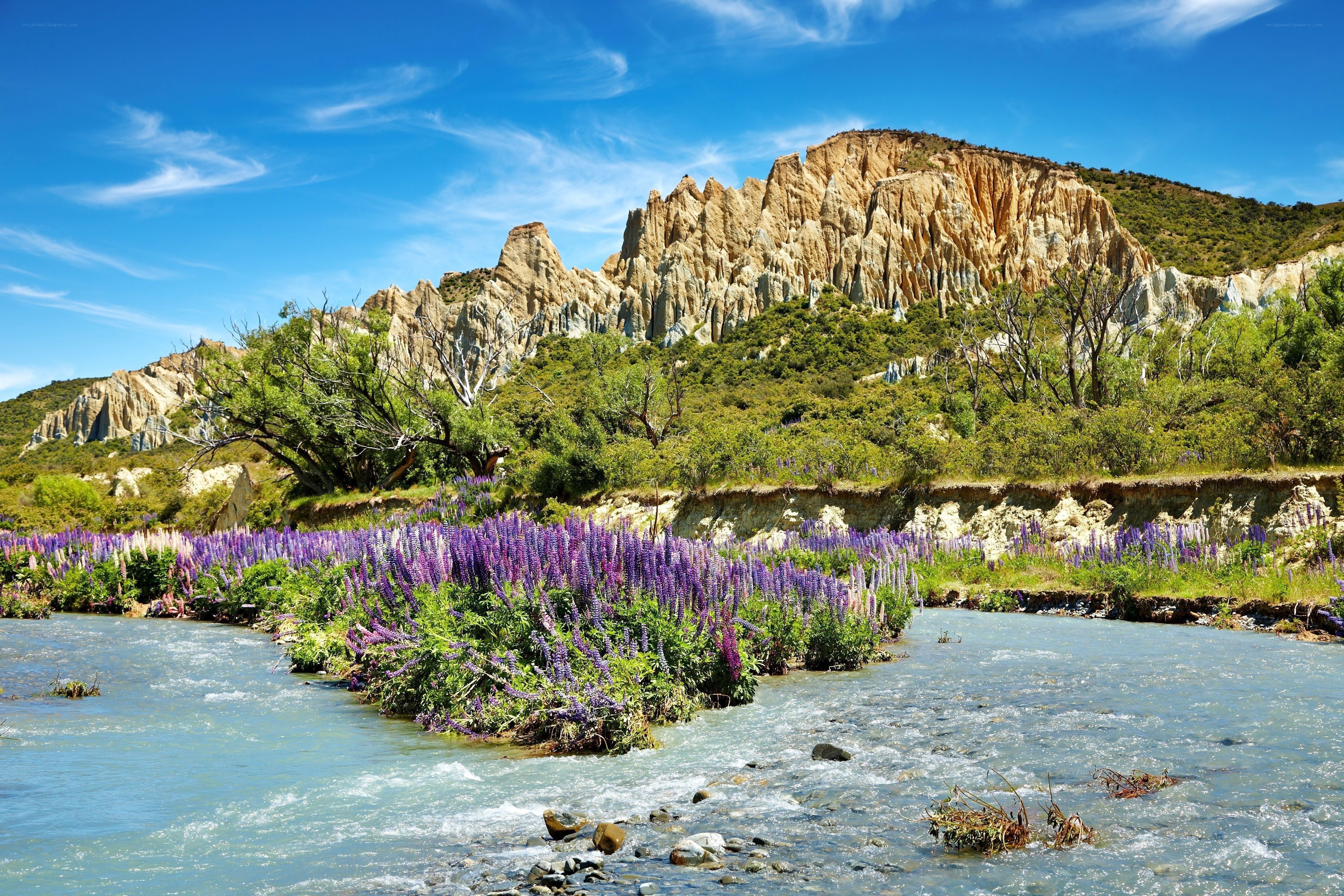 River with purple flowers and cliffs