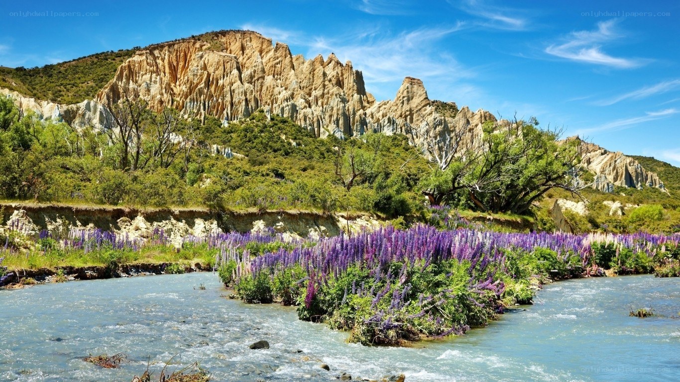 River with purple flowers and cliffs