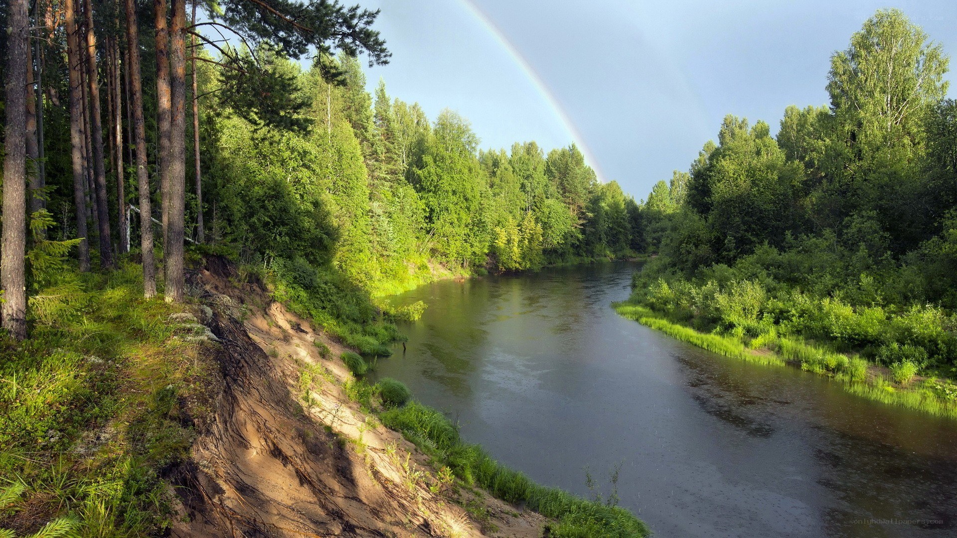 River with rainbow in forest