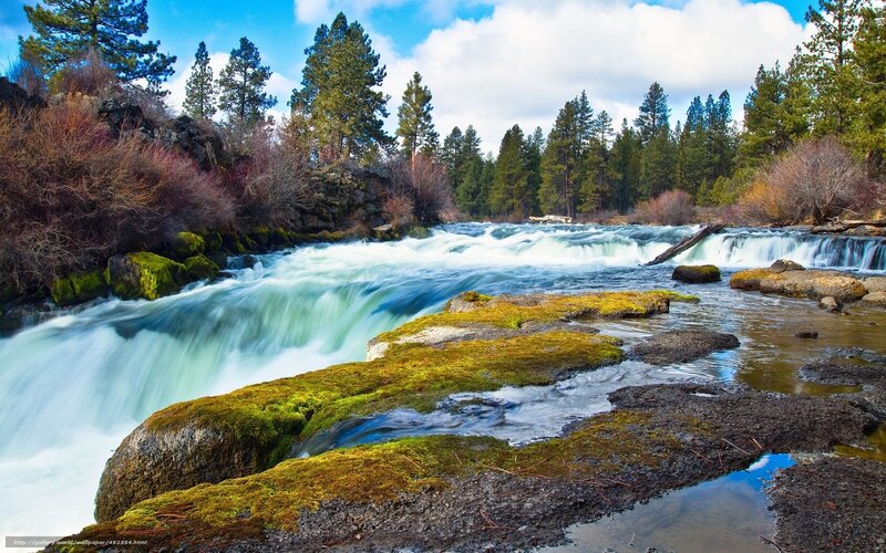 River with Rapids — Blue, Serene, Afternoon, Photograph