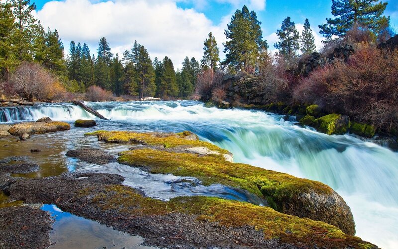 River with Rapids — Blue, Serene, Afternoon, Photograph, Trees, Rocks