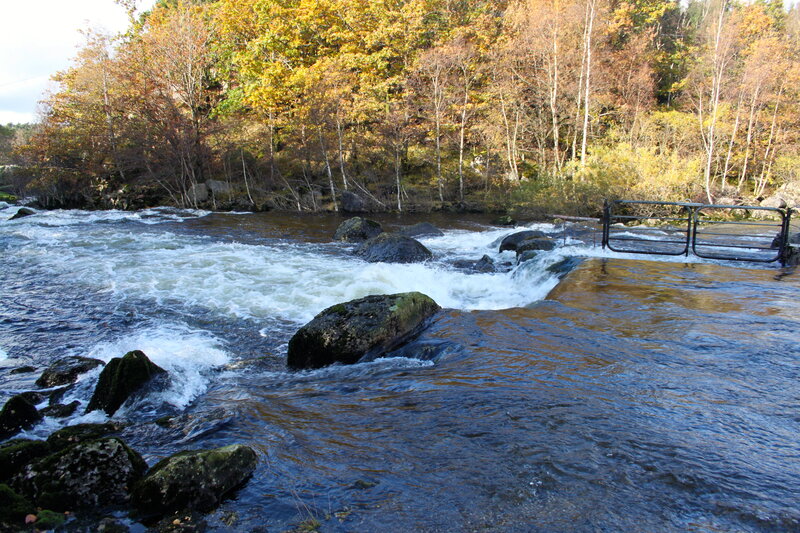 River with Rapids — Brown