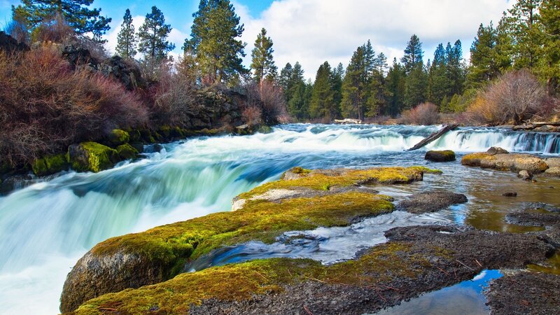River with Rapids — Green, Serene, Afternoon