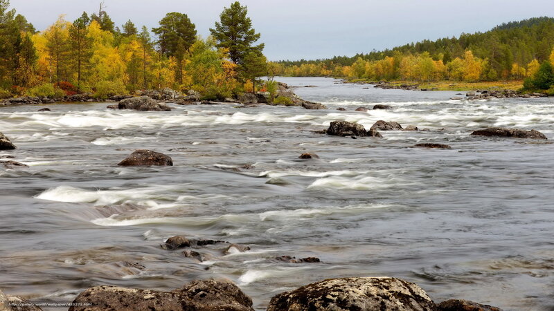 River with Rapids — Green, Serene