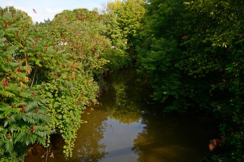 River with Red-berried Plants