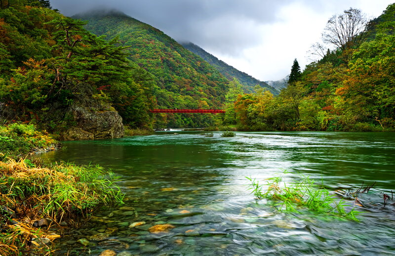 River with Red Bridge — Green, Serene