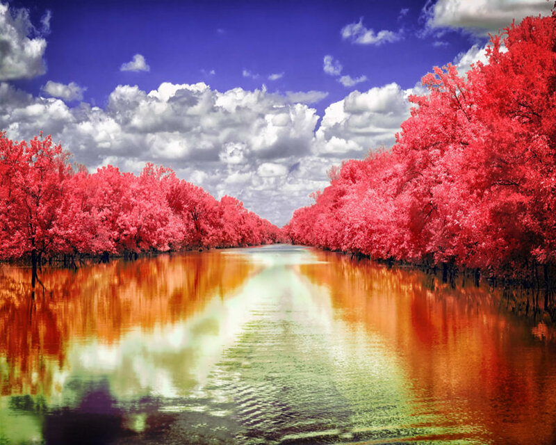 River with Red Trees — Dramatic