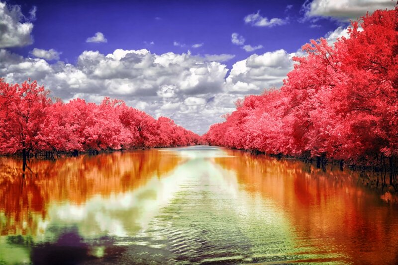 River with Red Trees