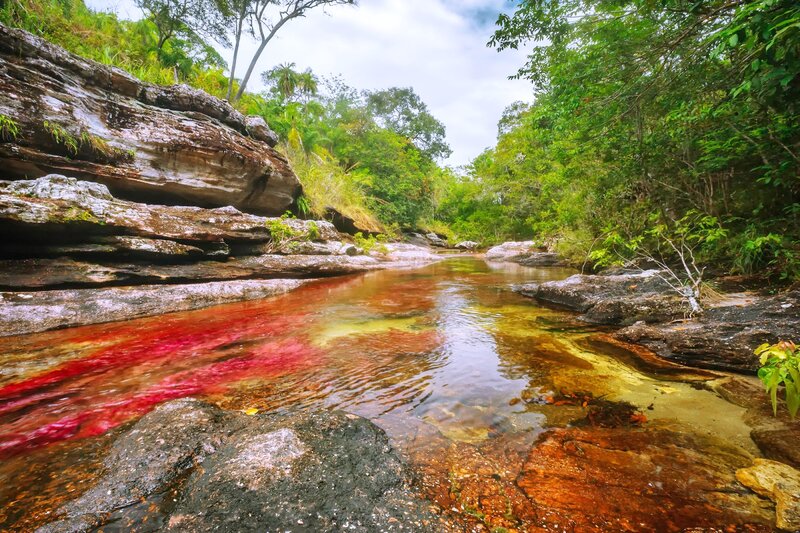 River with Red Water — Serene